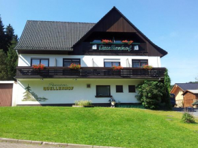 Гостиница Quellenhof Altenau  Альтенау
